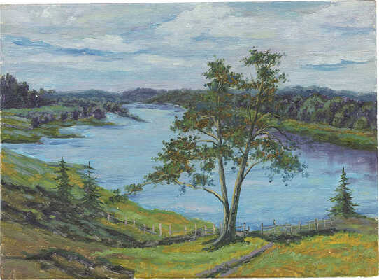 Дубовицкий Виктор Николаевич. Сокирна. Река Днепр 